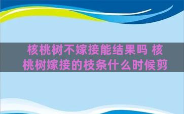 核桃树不嫁接能结果吗 核桃树嫁接的枝条什么时候剪